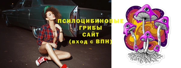 соль ск Алзамай