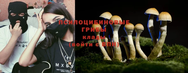 соль ск Алзамай