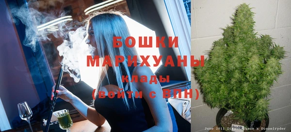 ГАЛЛЮЦИНОГЕННЫЕ ГРИБЫ Алексин