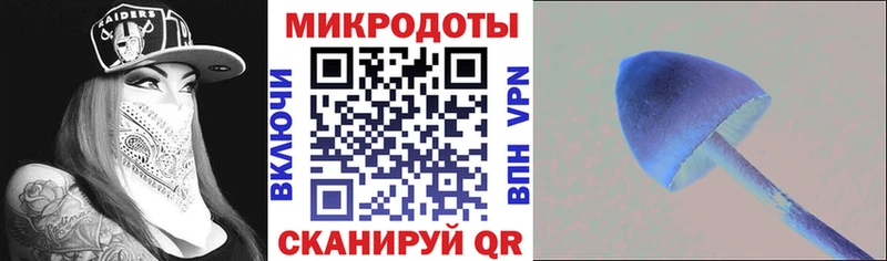 Галлюциногенные грибы Psilocybine cubensis  где купить   Муравленко 